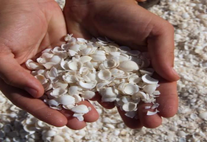 Pantai ini Pasirnya Dari Kerang